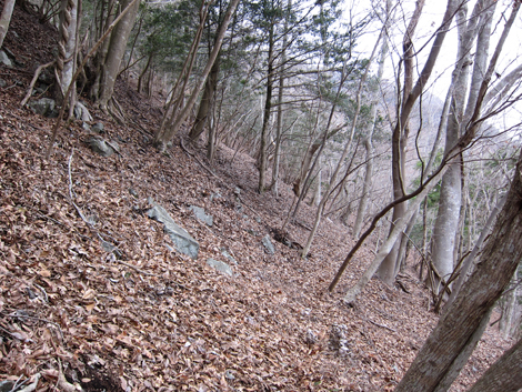20190205hike (40)